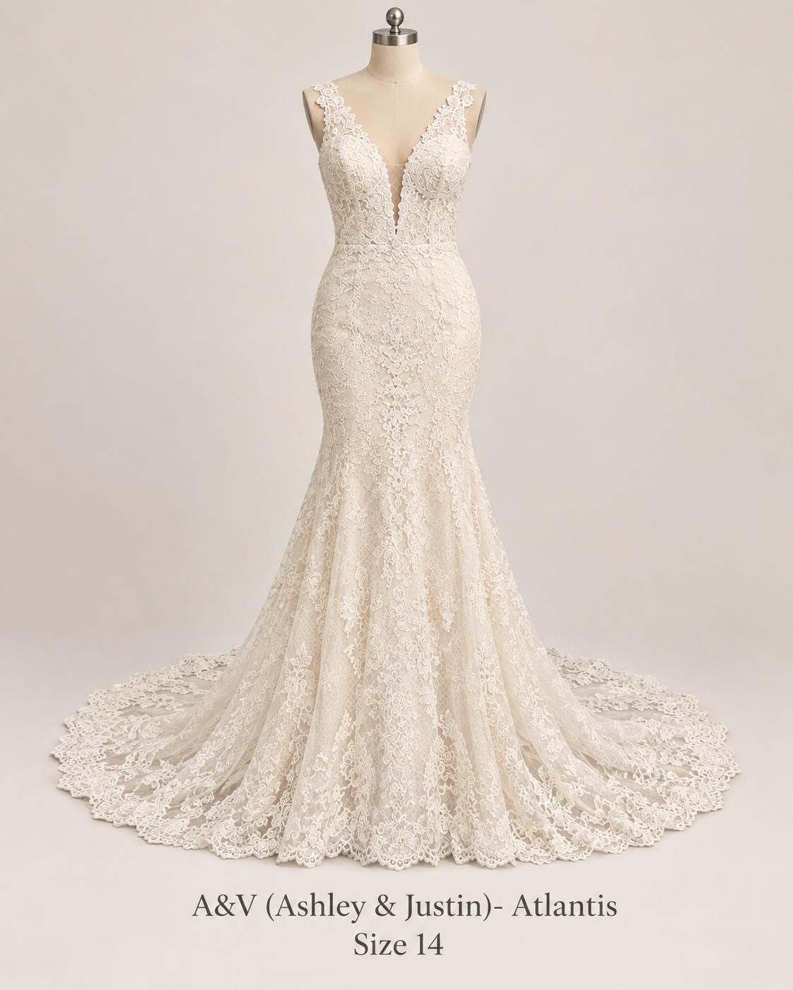 Front mannequin view of A&V Ashley and Justin Atlantis size 14 ivory lace wedding gown with plunging V neckline