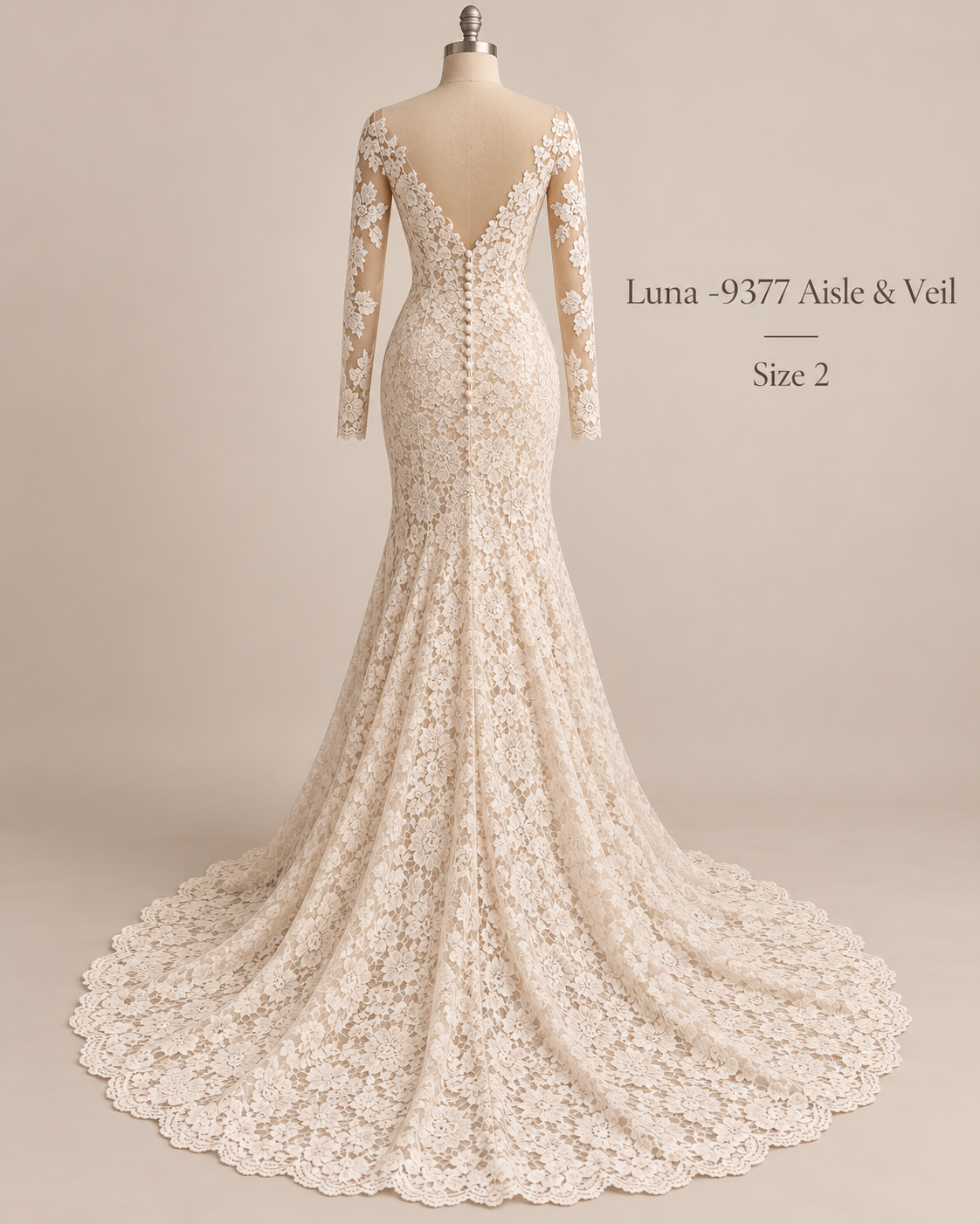 Back view of Aisle & Veil Luna 9377 size 2 wedding gown with deep V-back, covered buttons and scalloped lace train