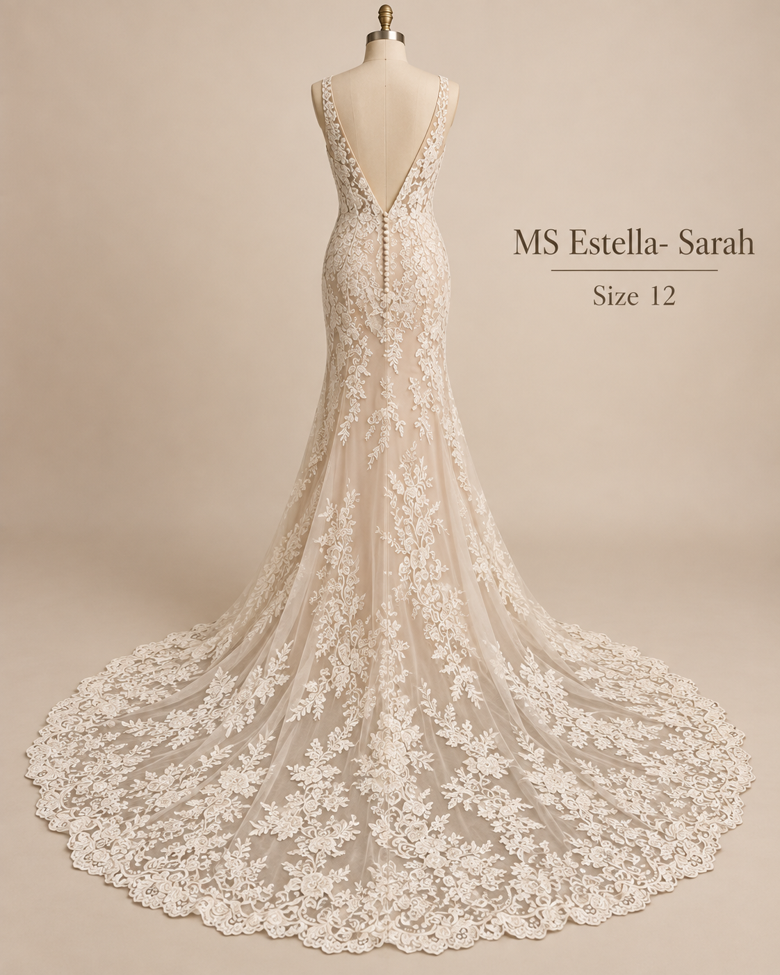 Back view of MS Estella Sarah size 12 wedding dress with deep V-back, covered buttons and dramatic scalloped lace train