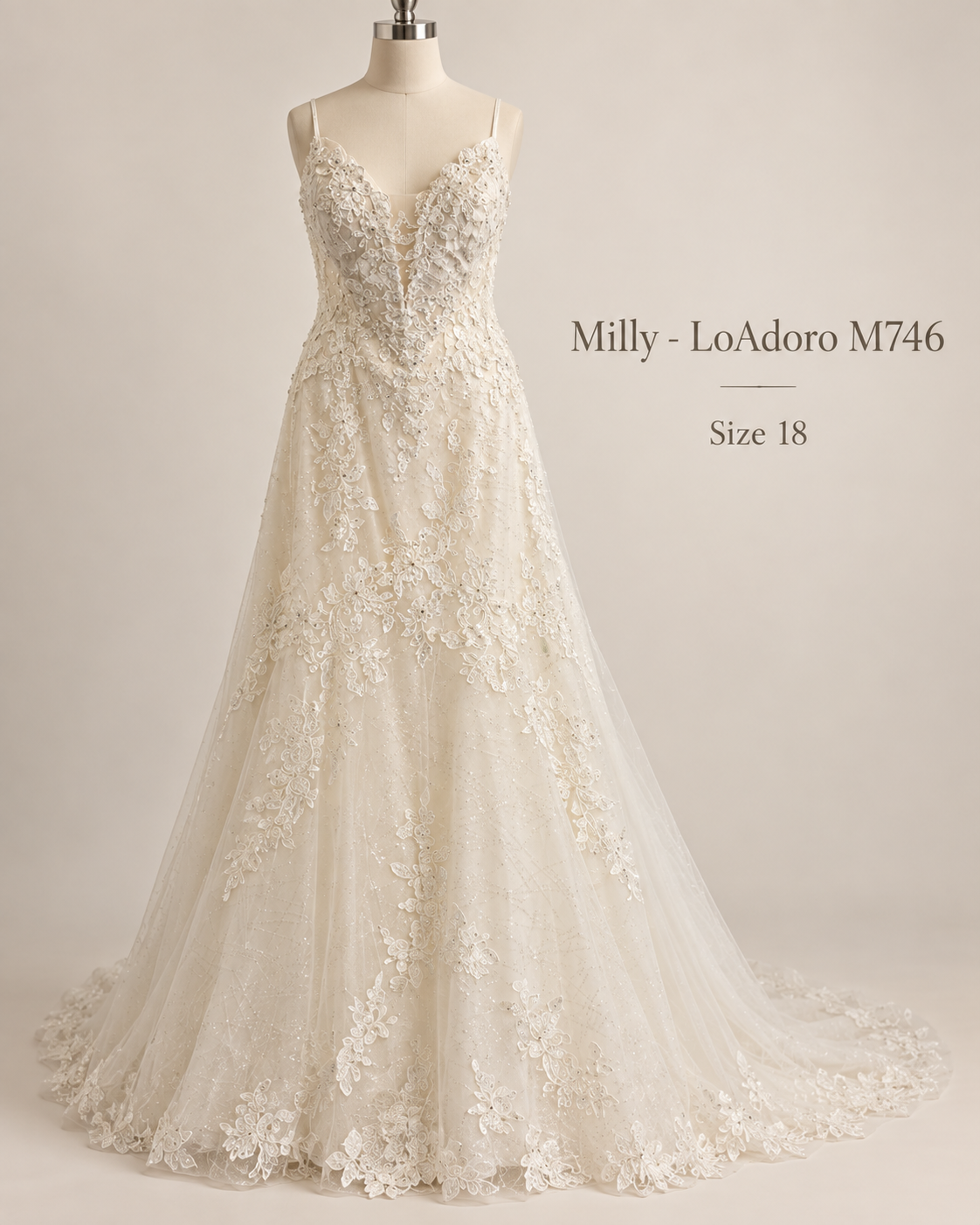 Front view of LoAdoro Milly M746 size 18 wedding dress with plunging V-neck lace bodice, spaghetti straps and sparkling A-line skirt