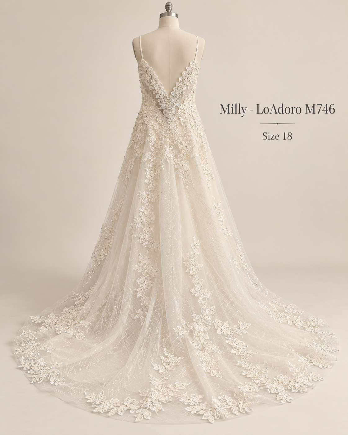 Back view of LoAdoro Milly M746 size 18 wedding gown with deep V-back, lace appliqué and sparkling sequin train