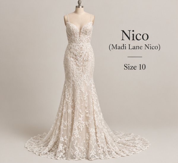 Front view of Madi Lane Nico size 10 wedding gown with deep V neckline, spaghetti straps and fitted lace silhouette